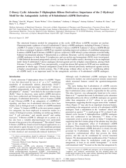 2&prime;-Deoxy Cyclic Adenosine 5&prime;-Diphosphate Ribose Derivatives