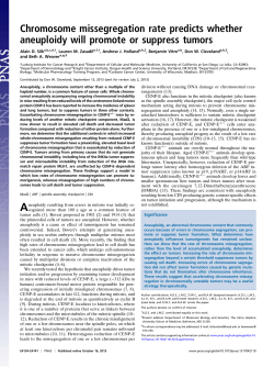 Chromosome missegregation rate predicts whether