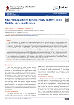 Silver Nanoparticles Teratogenicity on Developing Skeletal System