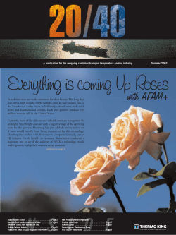 Ecuadorian roses are world-renowned for their