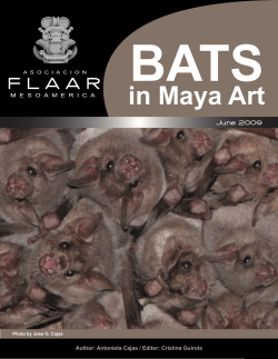 Bats in Maya Art - Wide-Format