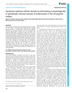 Fig. - Development - The Company of Biologists