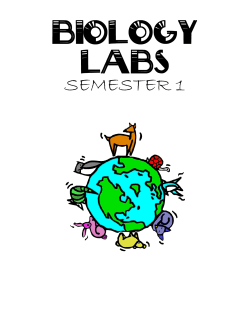 semester 1 - Bismarck Public Schools