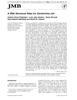 A DNA Structural Atlas for Escherichia coli