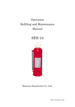 SFS-10