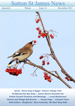 Issue 16 December 2015