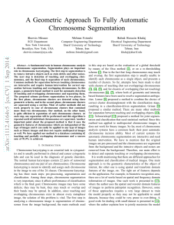 A Geometric Approach To Fully Automatic Chromosome Segmentation