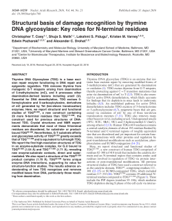Structural basis of damage recognition by thymine DNA glycosylase