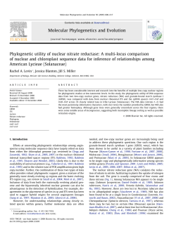 Phylogenetic utility of nuclear nitrate reductase: A multi
