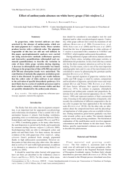 Effect of anthocyanin absence on white berry grape (Vitis