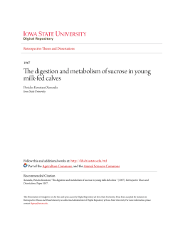 The digestion and metabolism of sucrose in young milk