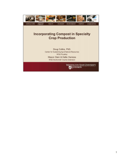 New Presentation! - WSU Extension