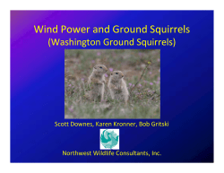 Wind Power and Ground Squirrels