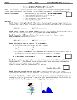 scale drawing project