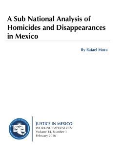 A Sub National Analysis of Homicides and