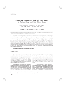 Comparative Osteometric Study of Long Bones in Yankasa