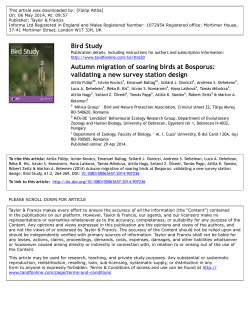 Autumn migration of soaring birds at Bosporus