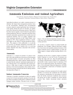 Ammonia Emissions and Animal Agriculture