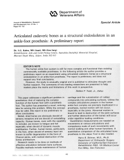 Articulated cadaveric bones as a structural endoskeleton in an ankle