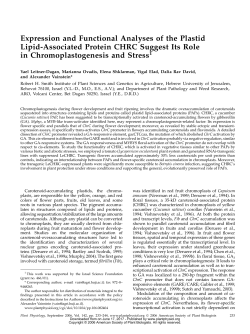 Expression and Functional Analyses of the