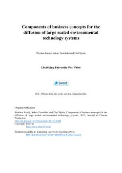 Components of business concepts for the diffusion of large