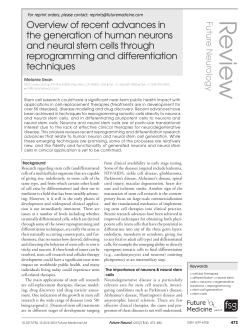 R e vie w - MS Futures Group
