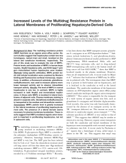 Increased Levels of the Multidrug Resistance Protein in Lateral