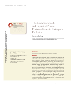 The Number, Speed, and Impact of Plastid