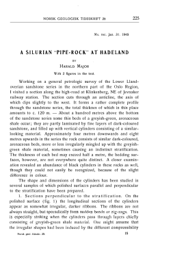 A SILURIAN "PIPE-ROCK" AT
