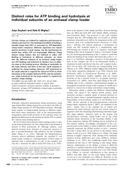 Distinct roles for ATP binding and hydrolysis at individual subunits of