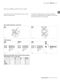 Strut profiles with 6 mm slot