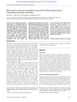 Bone marrow–derived mesenchymal stem cells