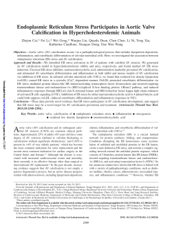 Endoplasmic Reticulum Stress Participates in Aortic Valve