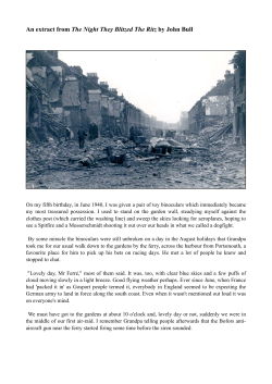 An extract from The Night They Blitzed The Ritz by