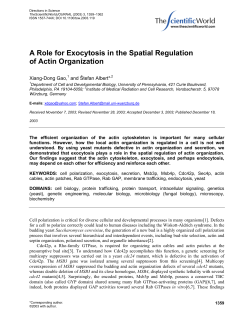 A Role for Exocytosis in the Spatial Regulationof Actin