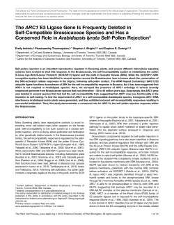 The ARC1 E3 Ligase Gene Is Frequently Deleted in