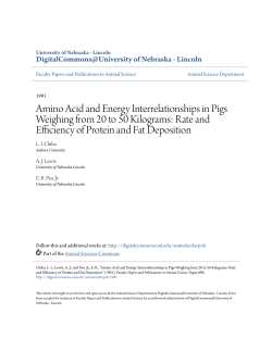 Amino Acid and Energy Interrelationships in Pigs Weighing from 20