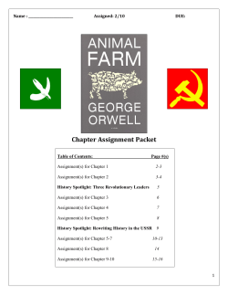 Chapter Assignment Packet