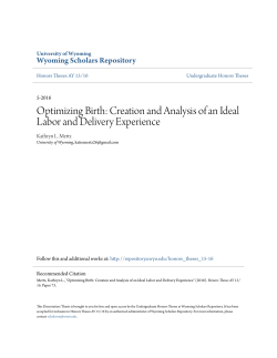 Optimizing Birth: Creation and Analysis of an Ideal Labor and