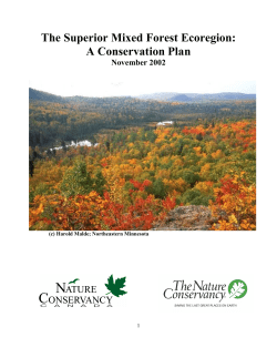 Superior Mixed Forest Ecoregional Plan