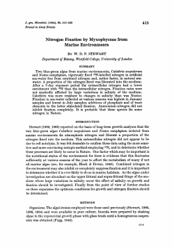 Nitrogen Fixation by Myxophyceae from Marine