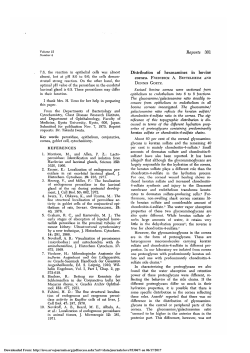Distribution of hexosamines in bovine cornea.