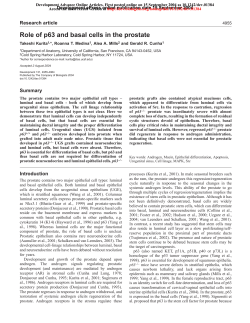Role of p63 and basal cells in the prostate