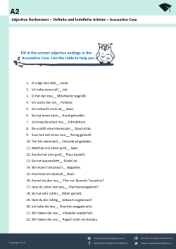Fill in the correct adjective endings in the Accusative Case. Use the