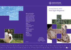 Owners of domestic rabbits have legal obligations