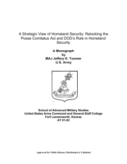 A Strategic View of Homeland Security: Relooking the Posse