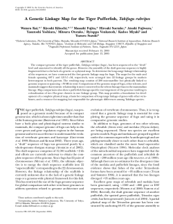 A Genetic Linkage Map for the Tiger Pufferfish, Takifugu
