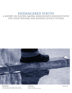 Endangered Youth: A Report on Suicide Among Adolescents