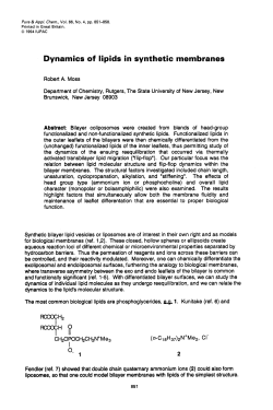 Dynamics of lipids in synthetic membranes