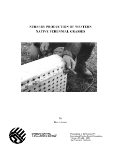 Nursery Production of Western Native Perennial Grasses